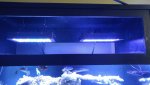 20160115_181104_resized.jpg
