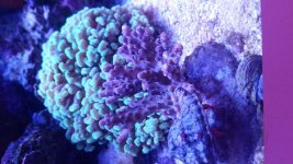 20160227_113124.jpg