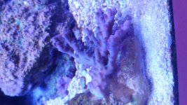 20160227_113153.jpg
