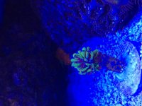 IMG_0425.jpg