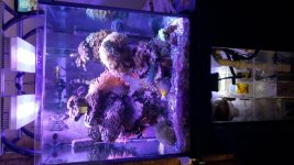 20160131_100601.jpg