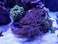 20170316_230646.jpg