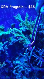 ORA frogskin.jpg