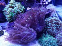 20170313_135410.jpg