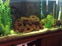 IMG_0076.jpg