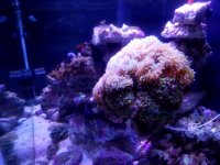 20160724_180018.jpg