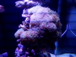 20160724_180013.jpg