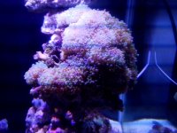 20160724_180012.jpg
