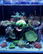 20170317_184044[1].jpg