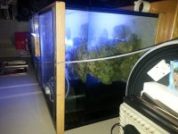 20150718_102036.jpg