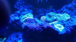 20160303_012425.jpg