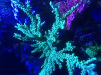 IMG_0157.jpg