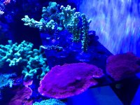 IMG_0175.jpg