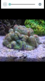 Screenshot_2016-05-04-02-19-01.jpg