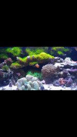 Screenshot_2016-05-04-02-18-08.jpg
