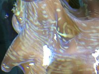 IMG_3591.jpg