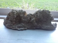IMG_0011.JPG