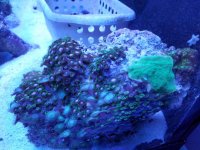 20160503_204459.jpg