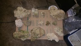 20160426_163647.jpg