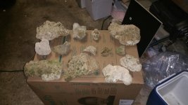 20160426_163651.jpg