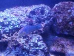 20160903_172013.jpg