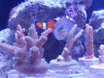 20160224_190839.jpg