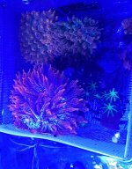20170525_133742.jpg