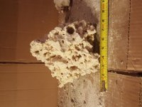 20170320_121712.jpg