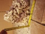 20170320_121757.jpg