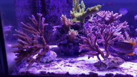 20160504_203231-1024x576.jpg