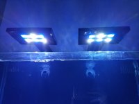 20170122_203112.jpg
