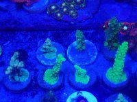 20170122_180924.jpg