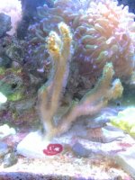 IMG_20170318_194439.jpg