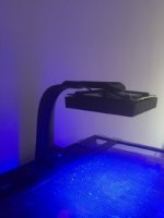 thumbnail_IMG_0086.jpg