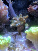 IMG_20170318_194431.jpg