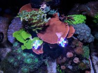 IMG_20170311_152941.jpg