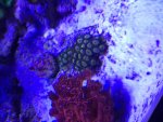 IMG_0407.jpg