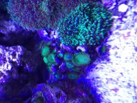 IMG_0406.jpg