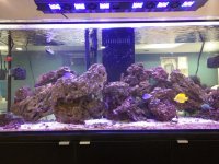 IMG_20161031_204804.jpg