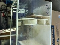 IMG_1335.jpg