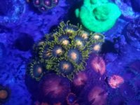 20161113_105755.jpg