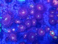 20161113_105741.jpg