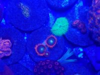 20161113_105807.jpg
