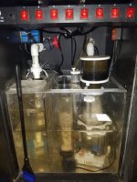 20161130_192033.jpg