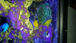 20161113_092443.jpg