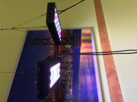 IMG_5358.jpg