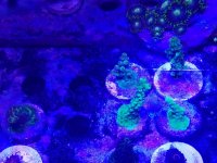 20170124_151154.jpg