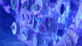 20170124_151157.jpg