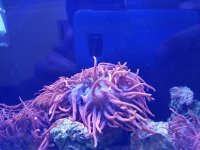 20170321_164437.jpg