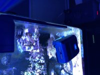 IMG_0525.jpg